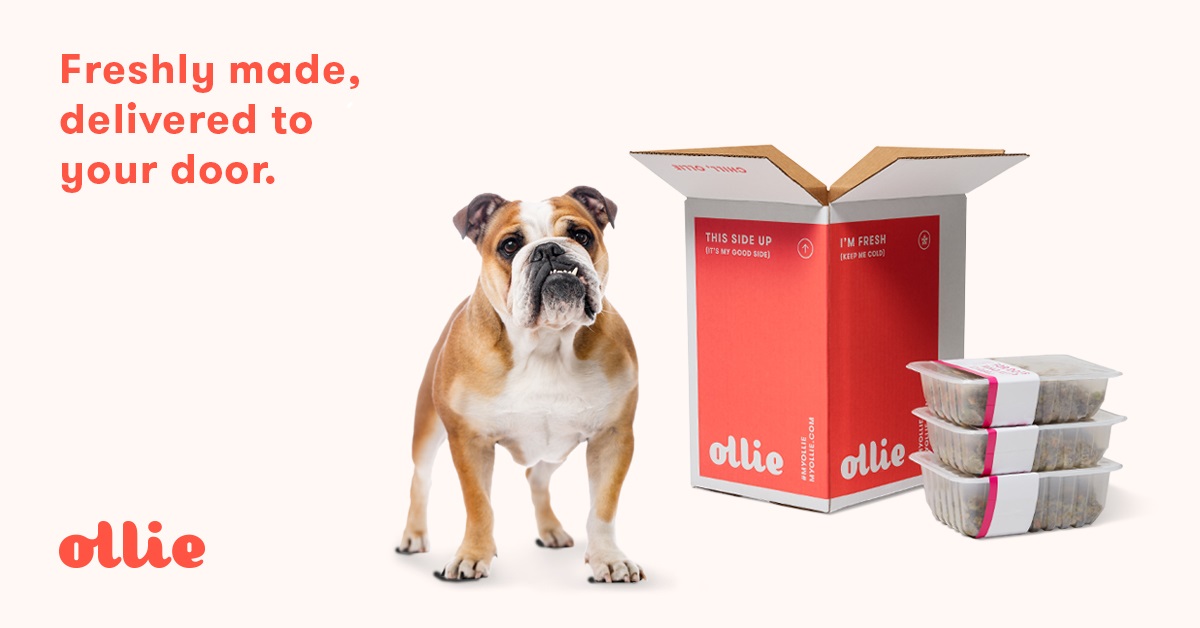 LMS Client Ollie Dog Food. Subscription Service. Healthy Pet Food